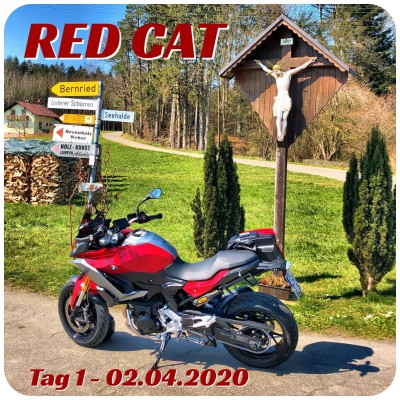 REDCAT_TAG01.JPG