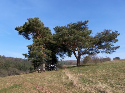 thuer01.jpg