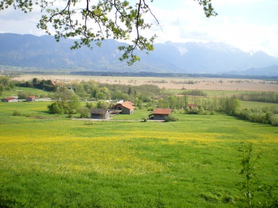 IMGP1691.JPG